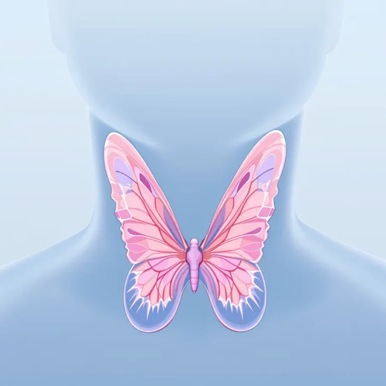 갑상선을 나비모양으로 형상화 한 일러스트